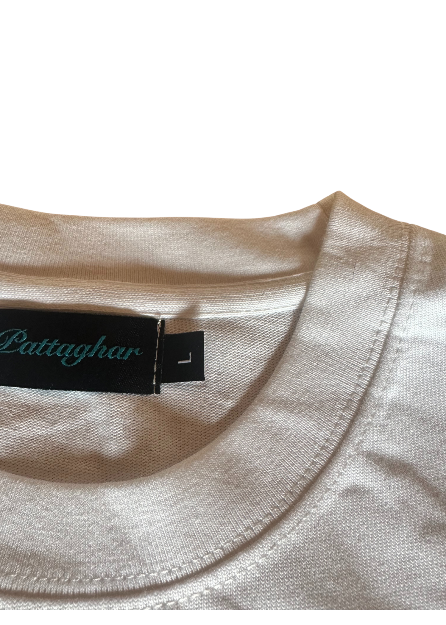 Short Sleeve Cricket Tee - 'India has done it!'